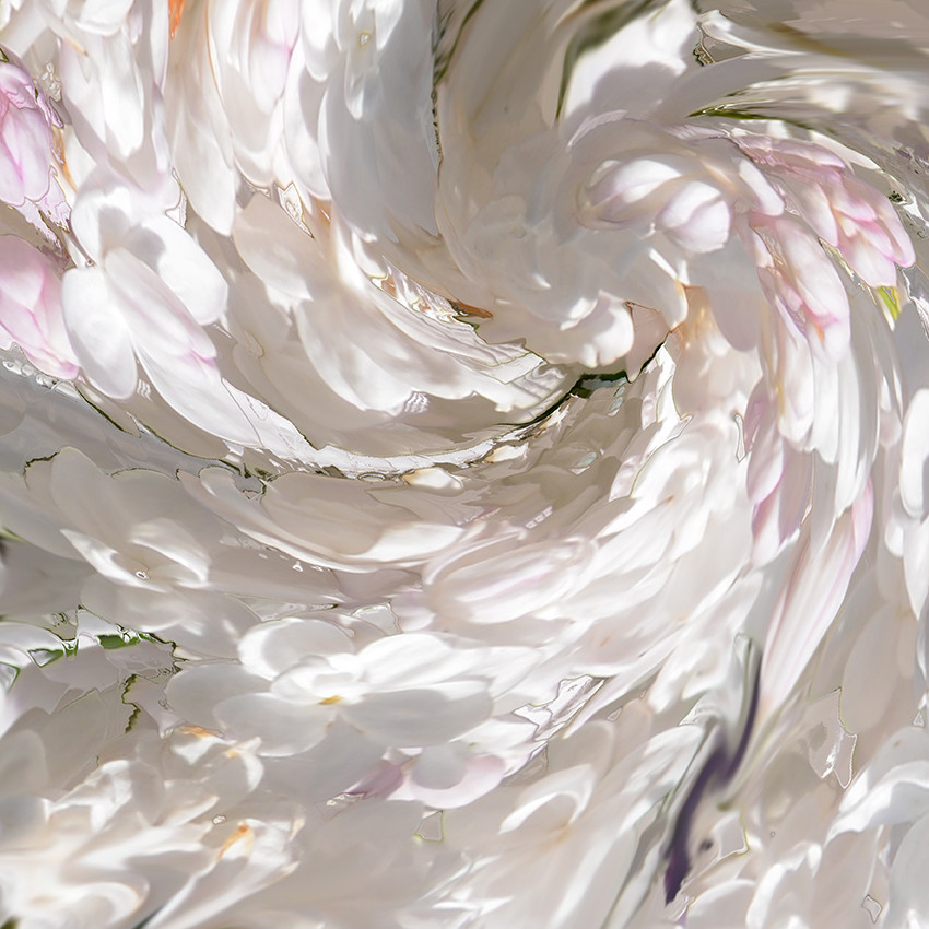 Обложка проекта: White