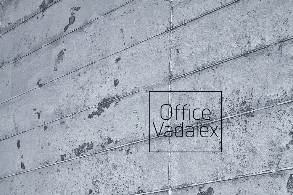 Офис компании Vadalex (Молдова, Кишинев)