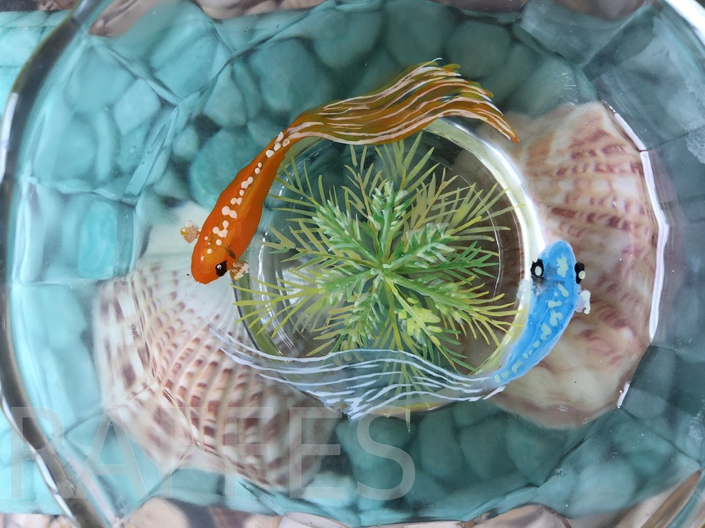 наши работы.благоустройство.интерьер