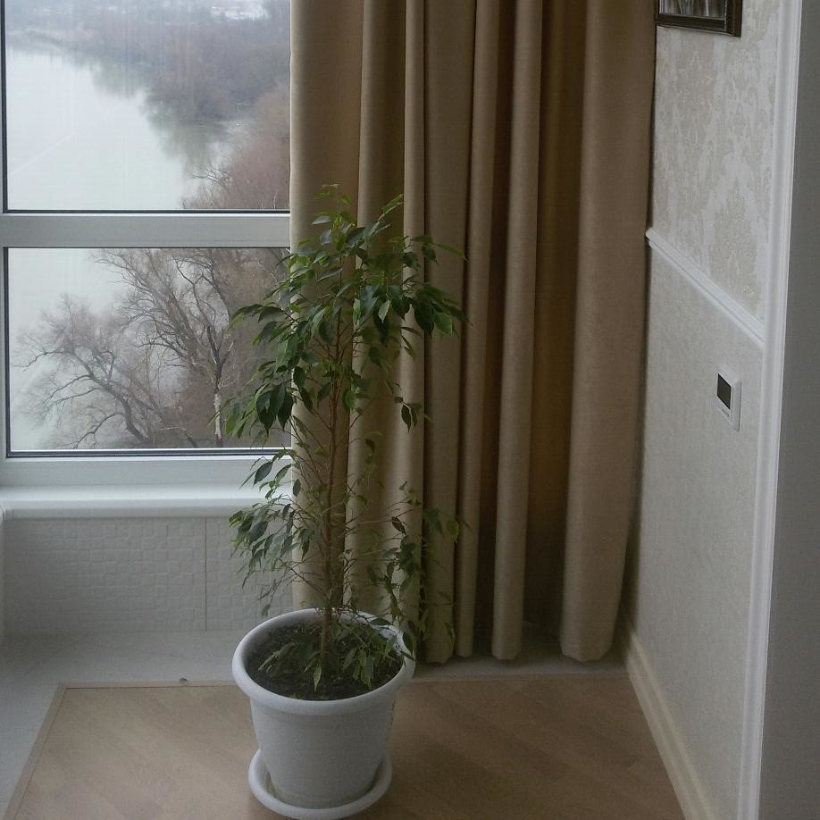 Современная классика штор