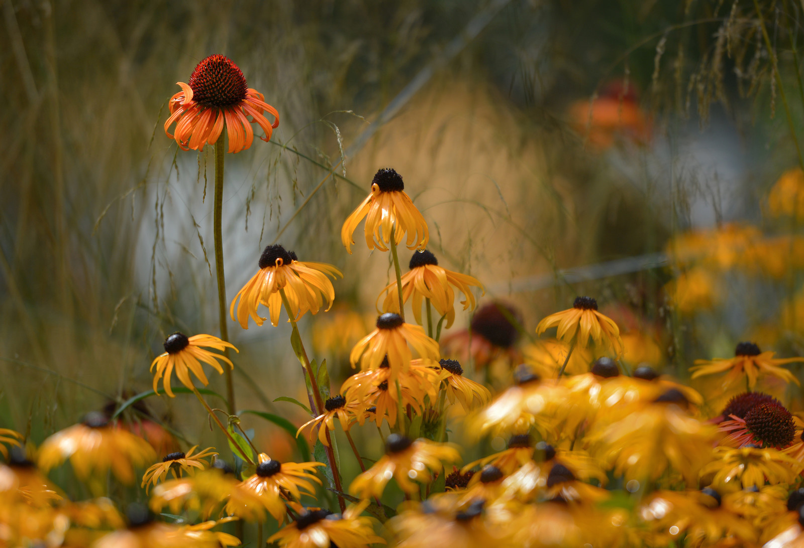 Калейдоскоп