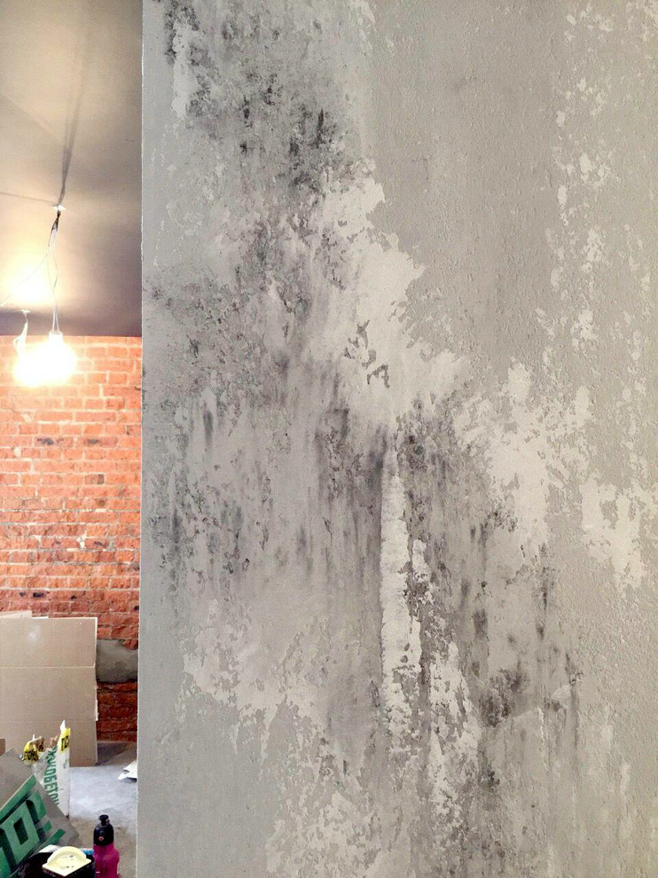 Салон красоты. ЛОФТ.