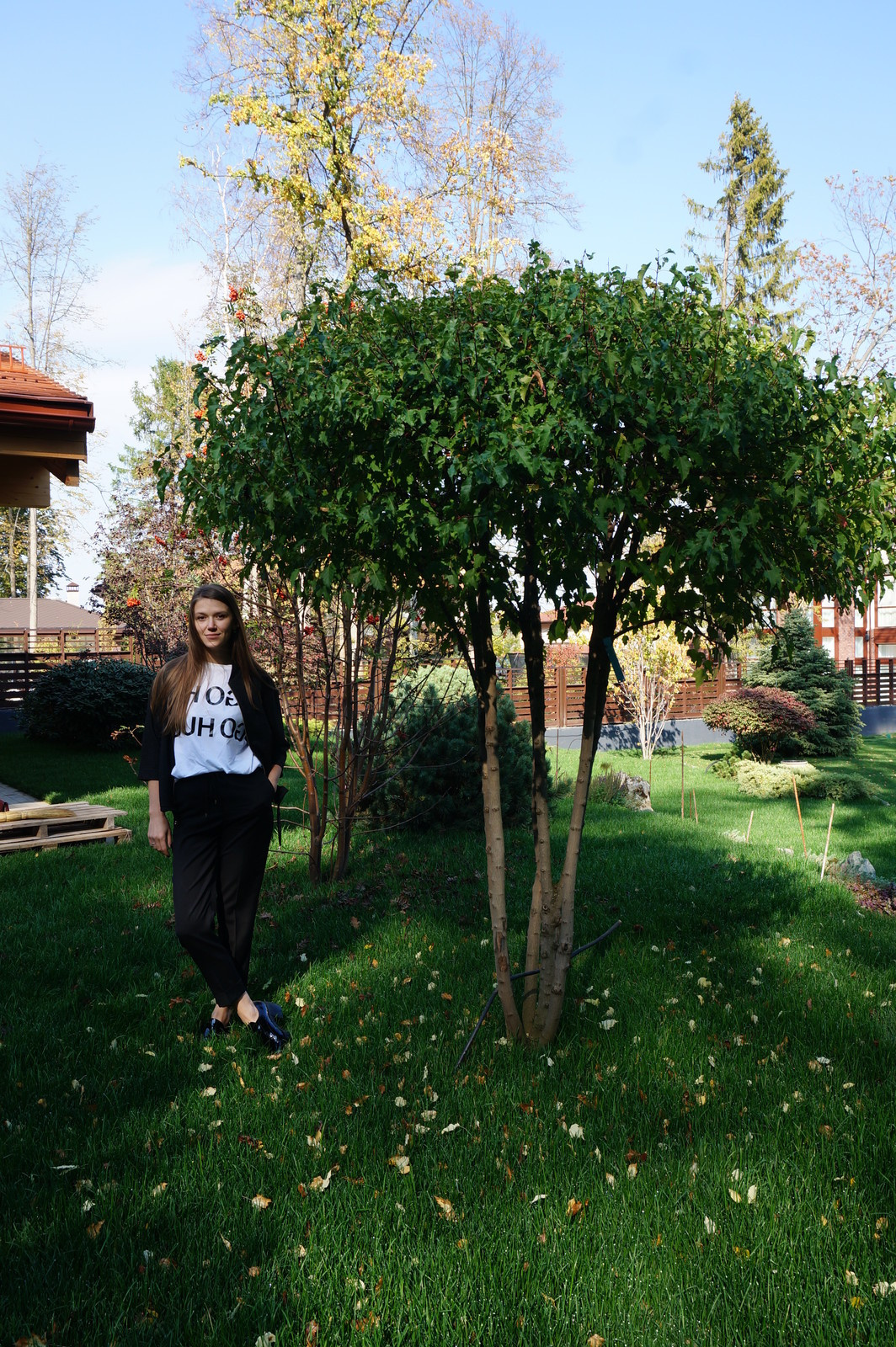 Современный ландшафтный дизайн.