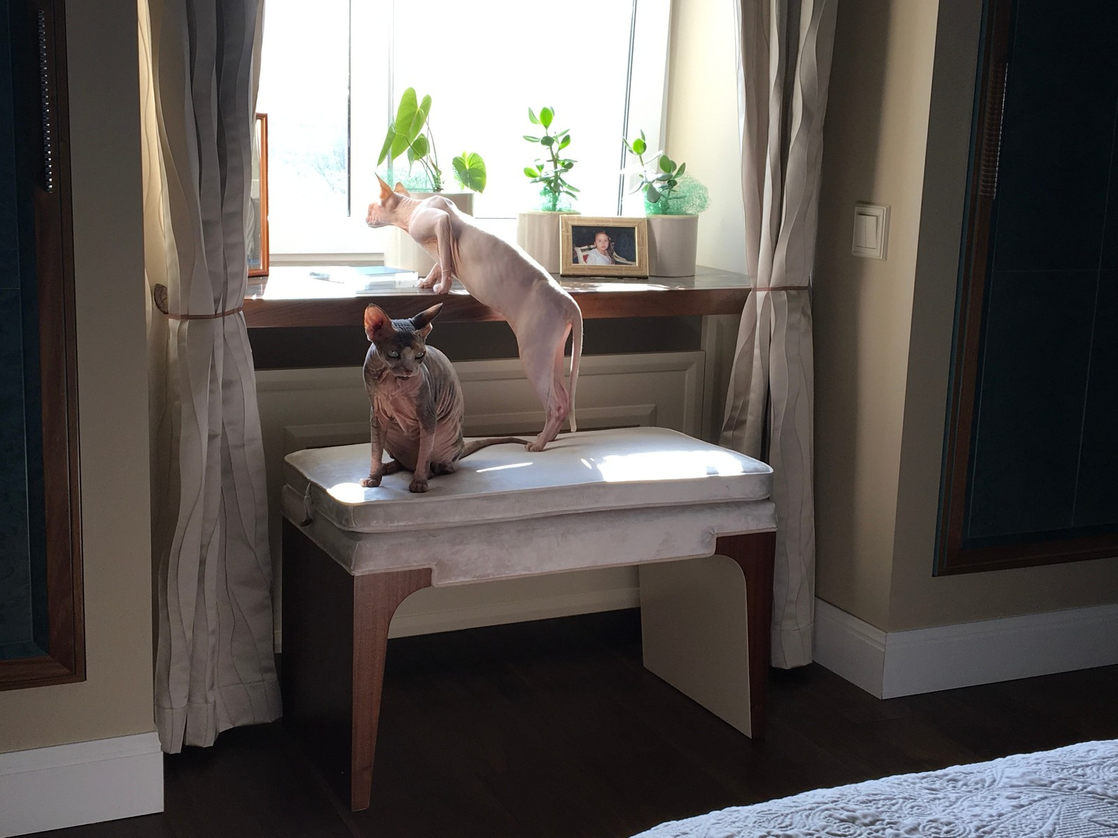 Обновленная спальня