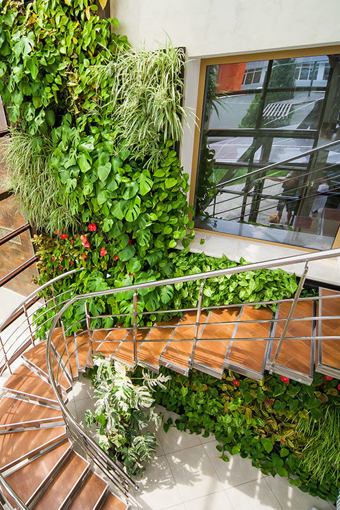 Ландшафтный дизайн