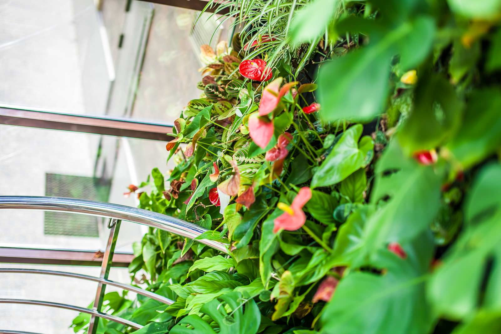 Ландшафтный дизайн