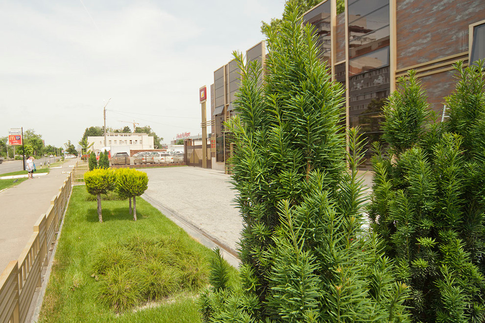 Ландшафтный дизайн