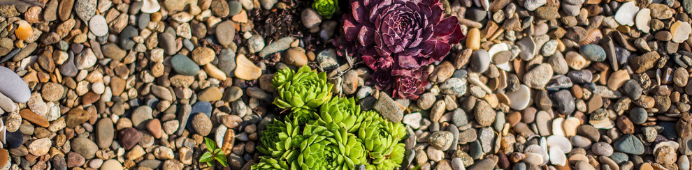 ландшафтный дизайн 2