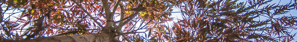 ландшафтный дизайн 2