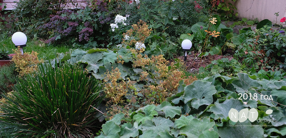 Сад на склоне. Реализация 2016 год