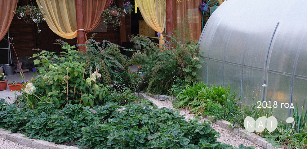 Сад на склоне. Реализация 2016 год