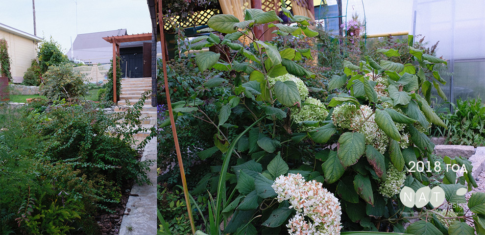 Сад на склоне. Реализация 2016 год