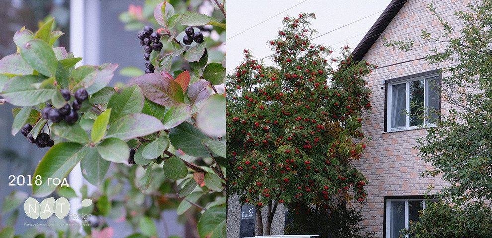 Сад на склоне. Реализация 2016 год