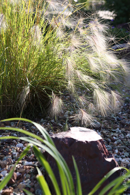 "реконструкция водоема"