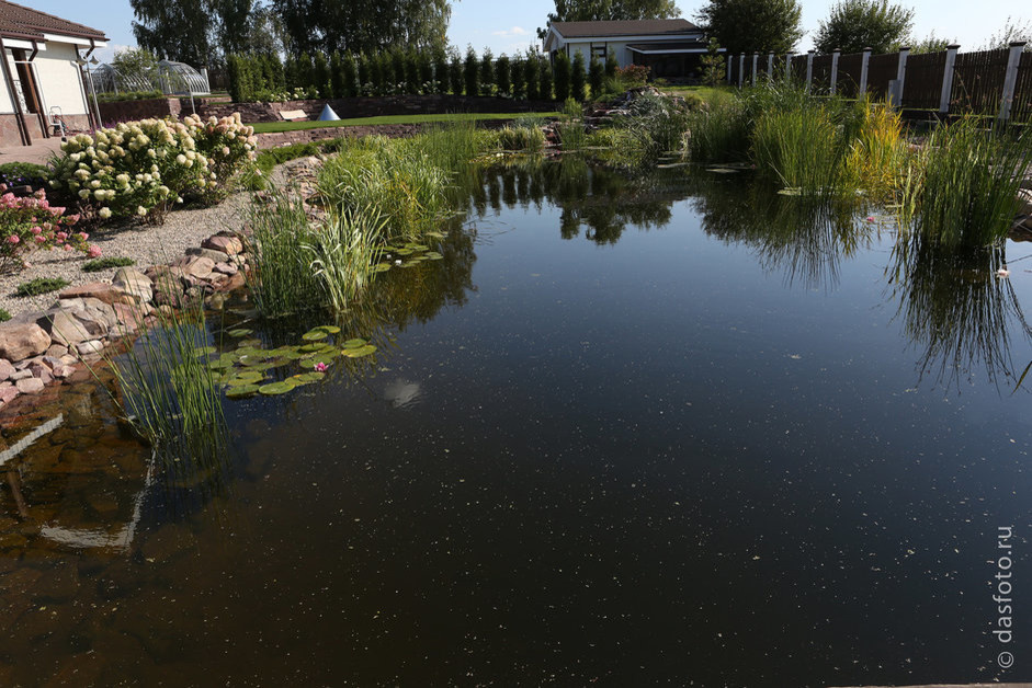 "реконструкция водоема"