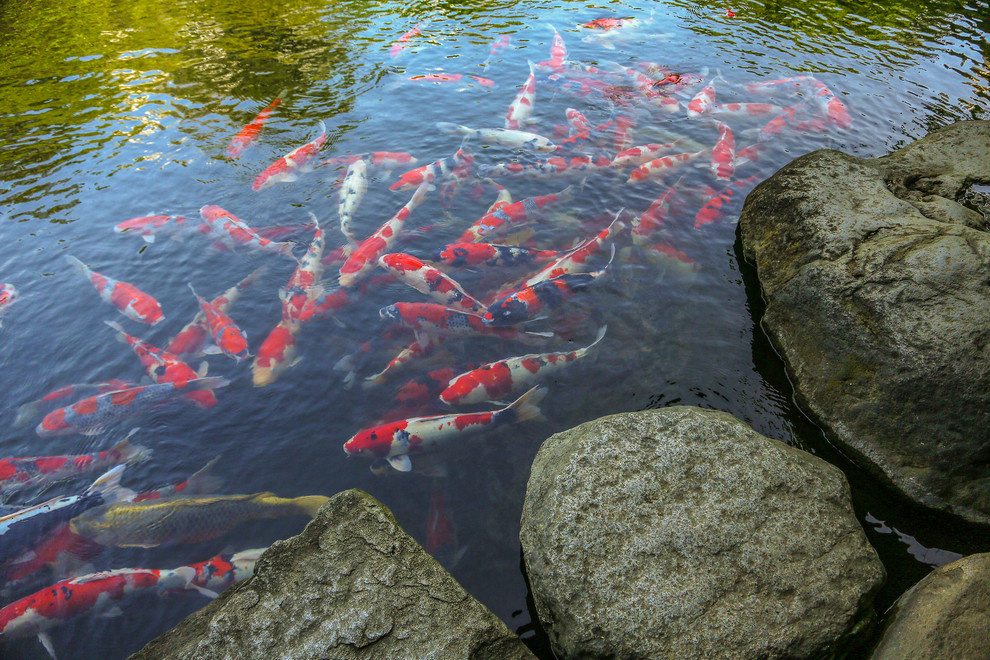 Исторический сад Happoen Garden, Tokyo, Japan