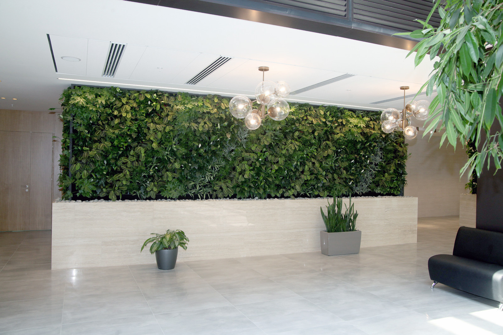 Озеленение холла Бизнес-Центра