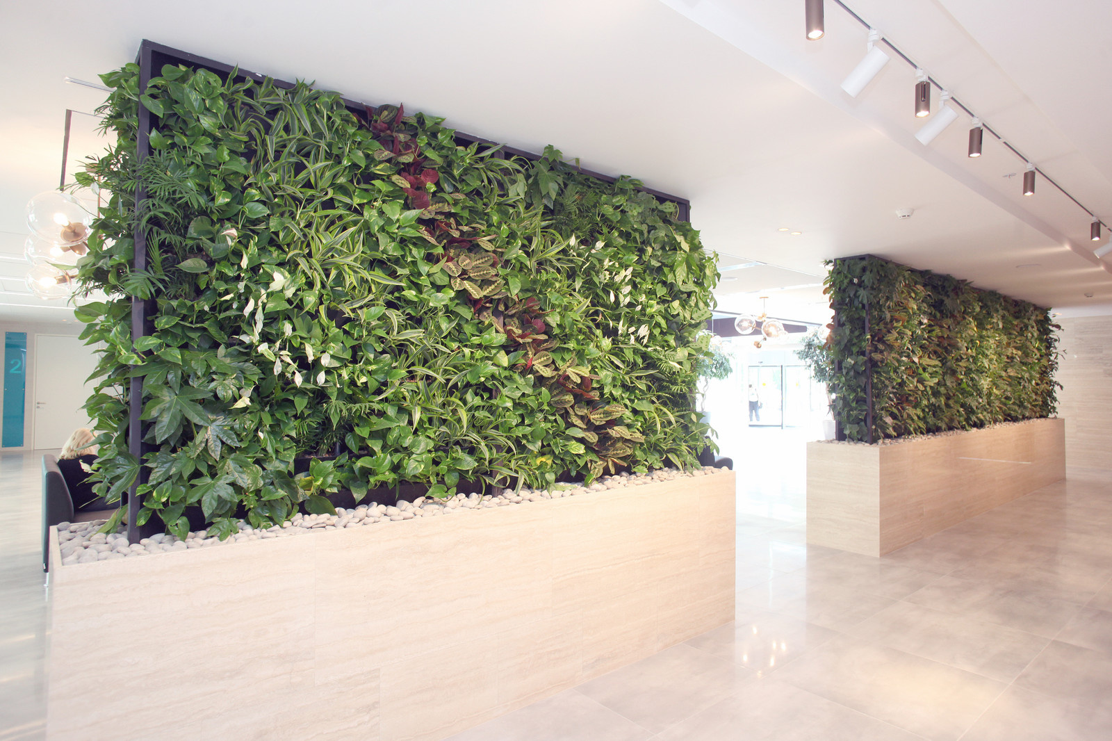 Озеленение холла Бизнес-Центра