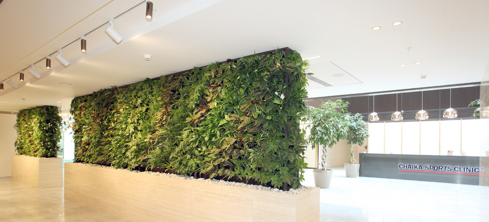 Озеленение холла Бизнес-Центра