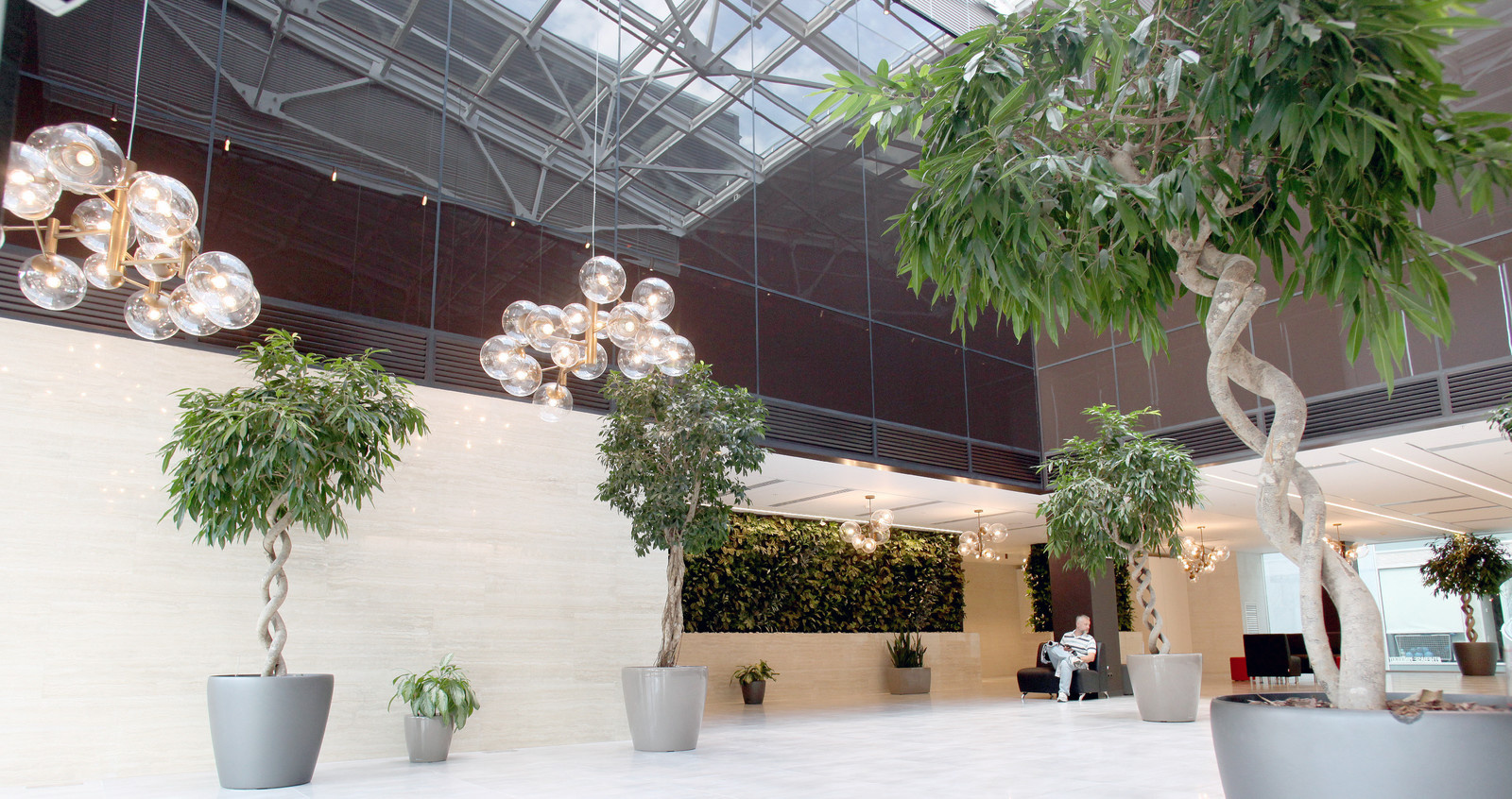 Озеленение холла Бизнес-Центра