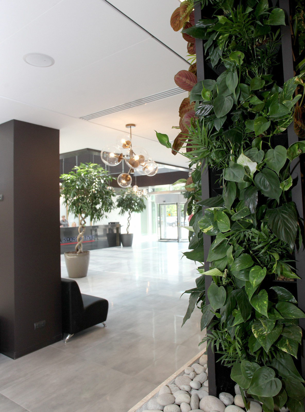 Озеленение холла Бизнес-Центра