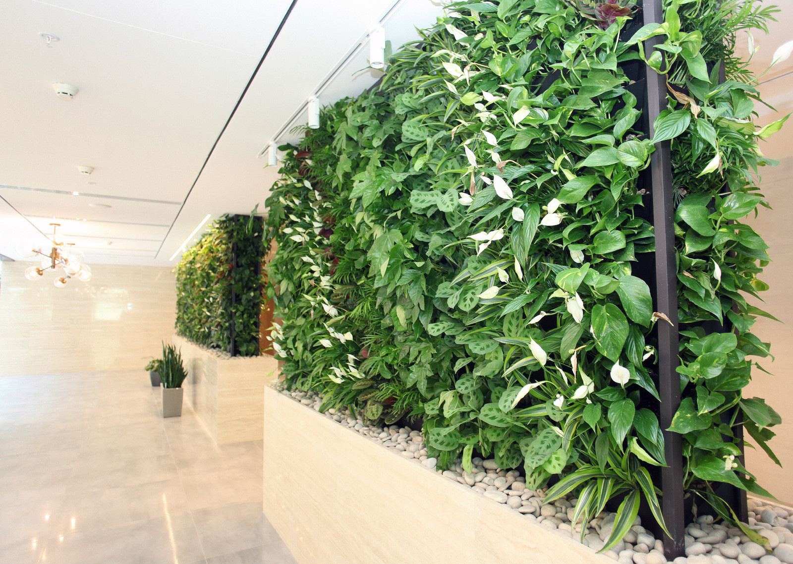 Озеленение холла Бизнес-Центра