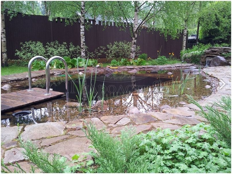 Плавательный водоём в п. Ильичево (Лен. обл.)