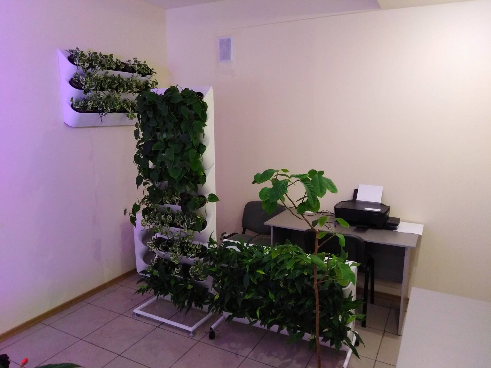 Вертикальное озеленение пространства. Фитомодули. Фитокартины. Фитоосвещение.