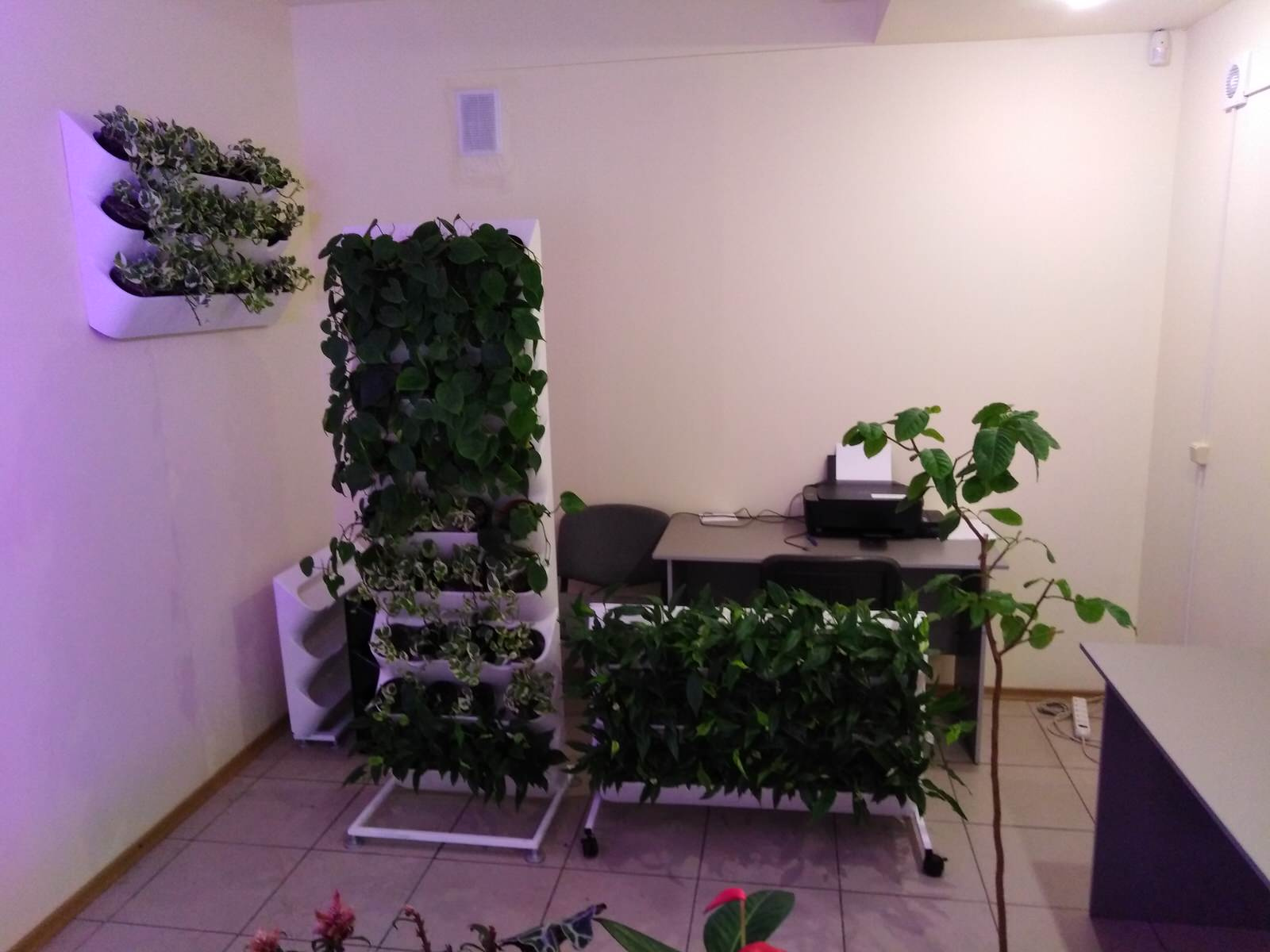 Вертикальное озеленение пространства. Фитомодули. Фитокартины. Фитоосвещение.