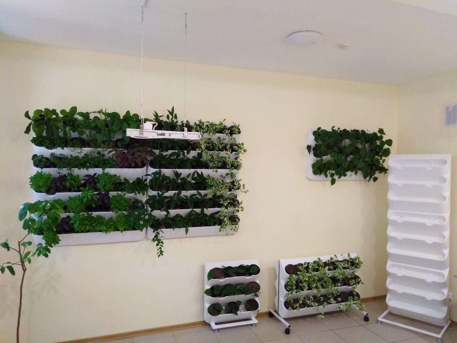 Вертикальное озеленение пространства. Фитомодули. Фитокартины. Фитоосвещение.