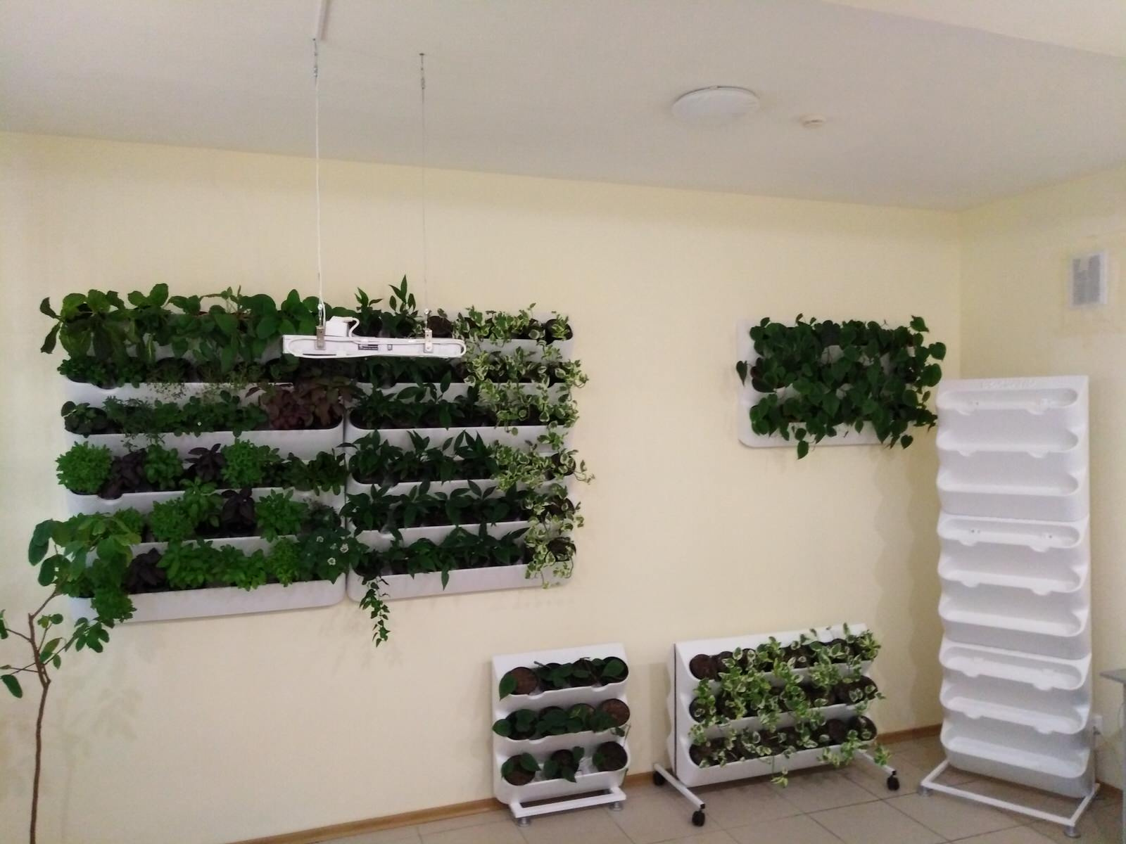 Вертикальное озеленение пространства. Фитомодули. Фитокартины. Фитоосвещение.