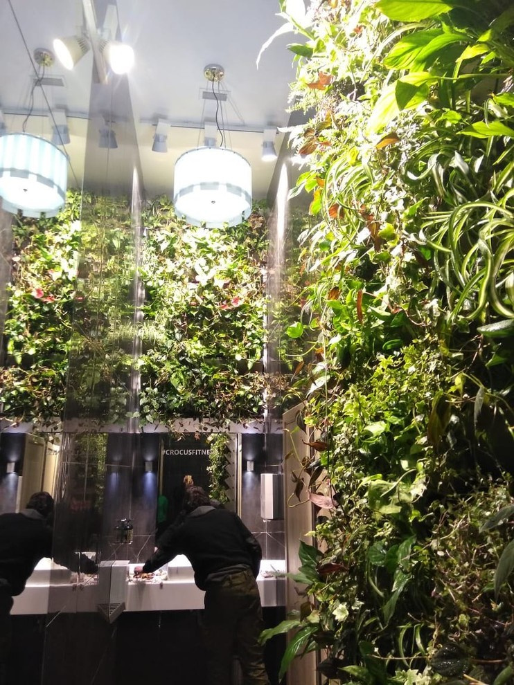 Вертикальное озеленение пространства. Фитомодули. Фитокартины. Фитоосвещение.