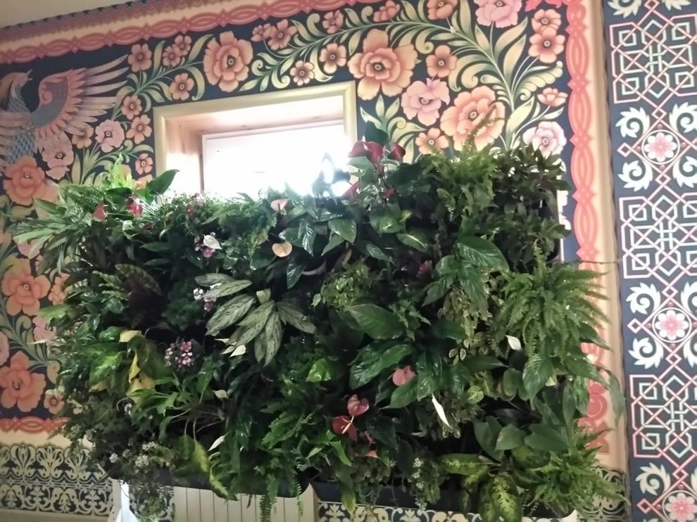 Вертикальное озеленение пространства. Фитомодули. Фитокартины. Фитоосвещение.