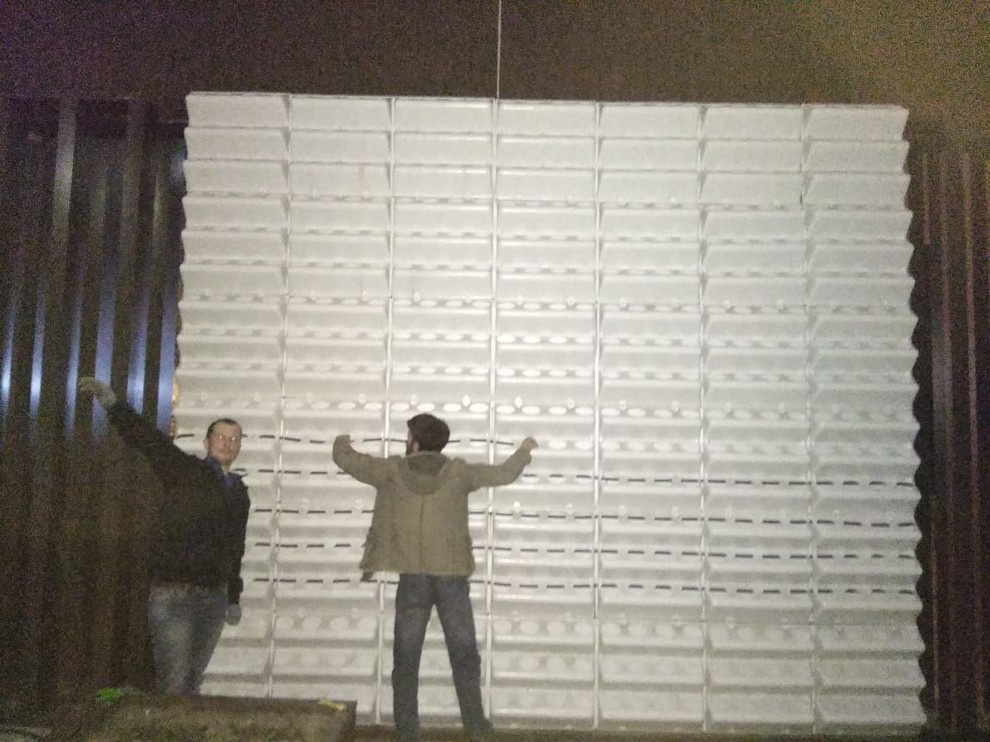 Вертикальное озеленение пространства. Фитомодули. Фитокартины. Фитоосвещение.