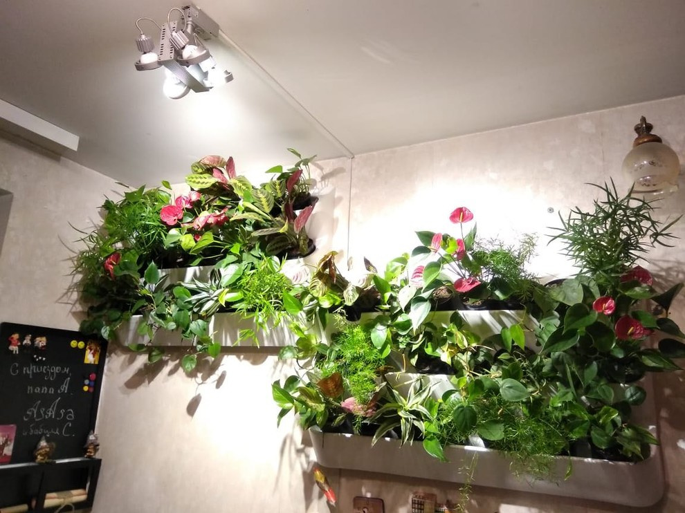 Вертикальное озеленение пространства. Фитомодули. Фитокартины. Фитоосвещение.