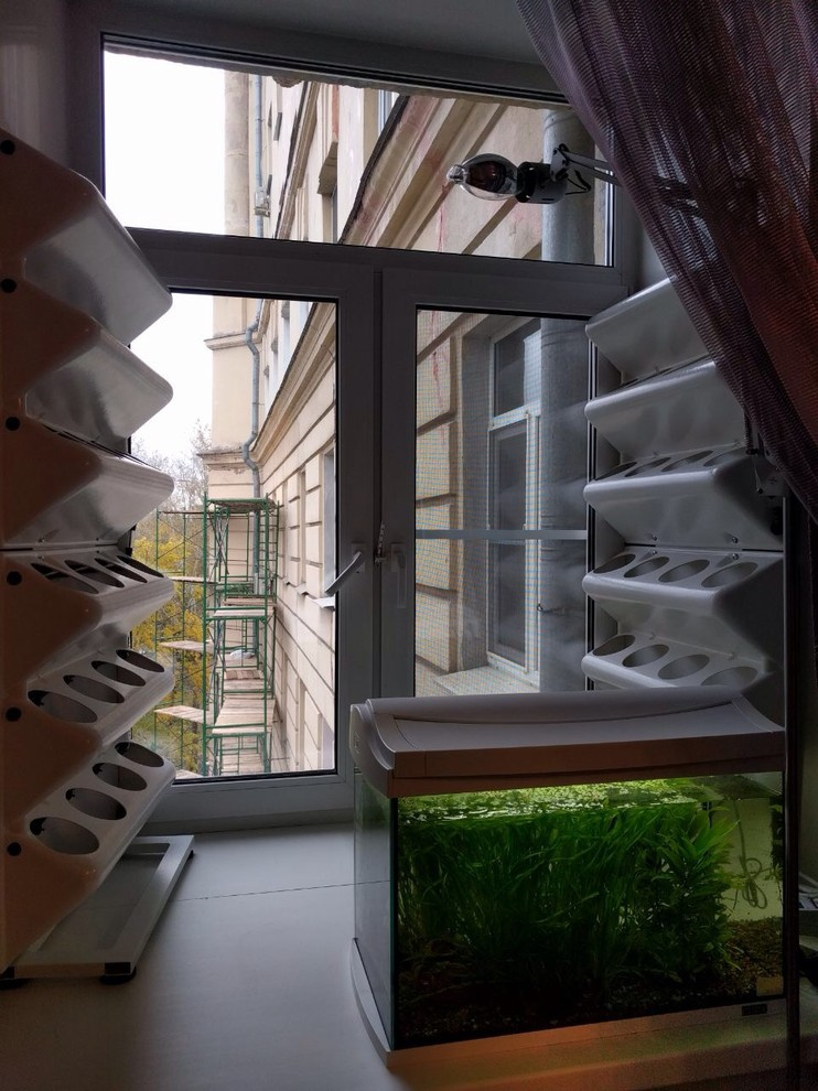 Вертикальное озеленение пространства. Фитомодули. Фитокартины. Фитоосвещение.