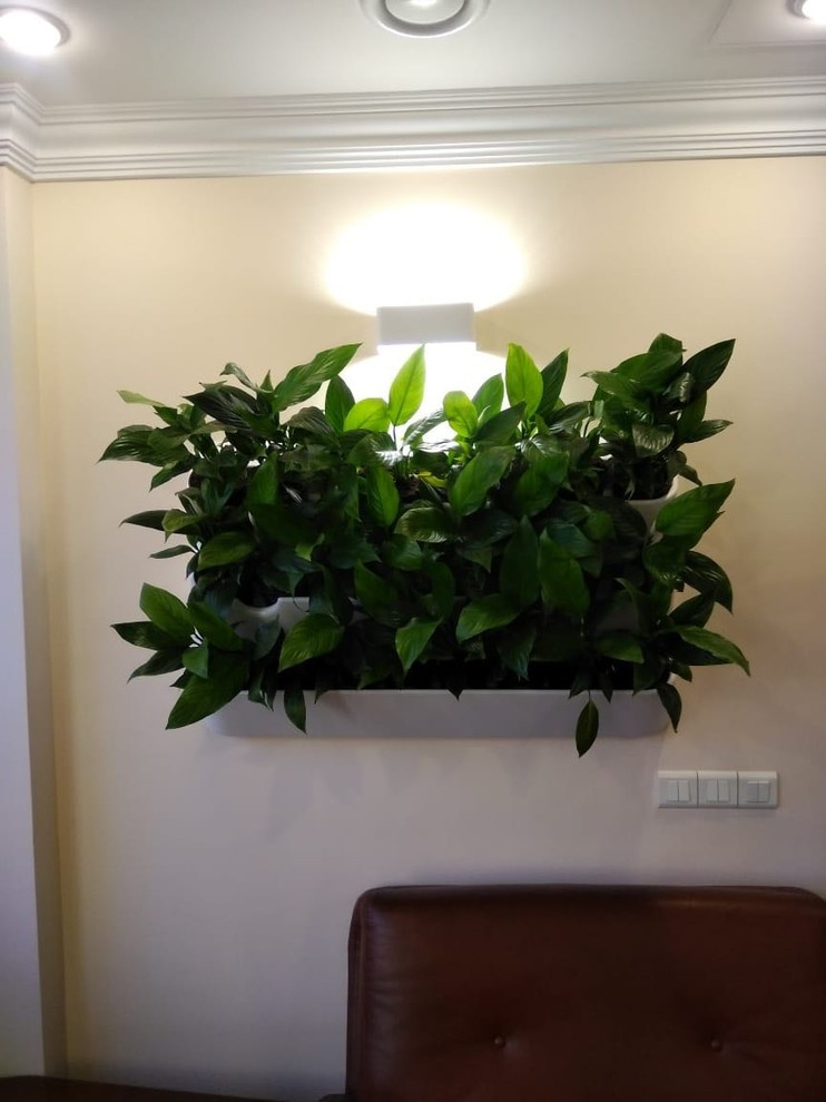 Вертикальное озеленение пространства. Фитомодули. Фитокартины. Фитоосвещение.