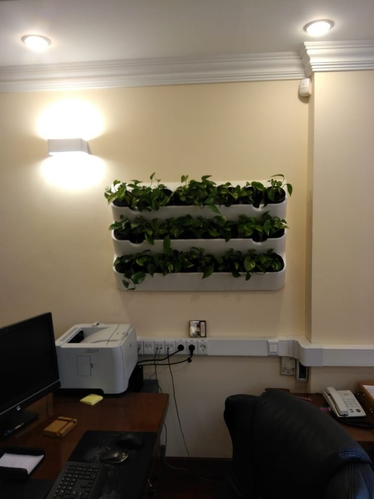 Вертикальное озеленение пространства. Фитомодули. Фитокартины. Фитоосвещение.