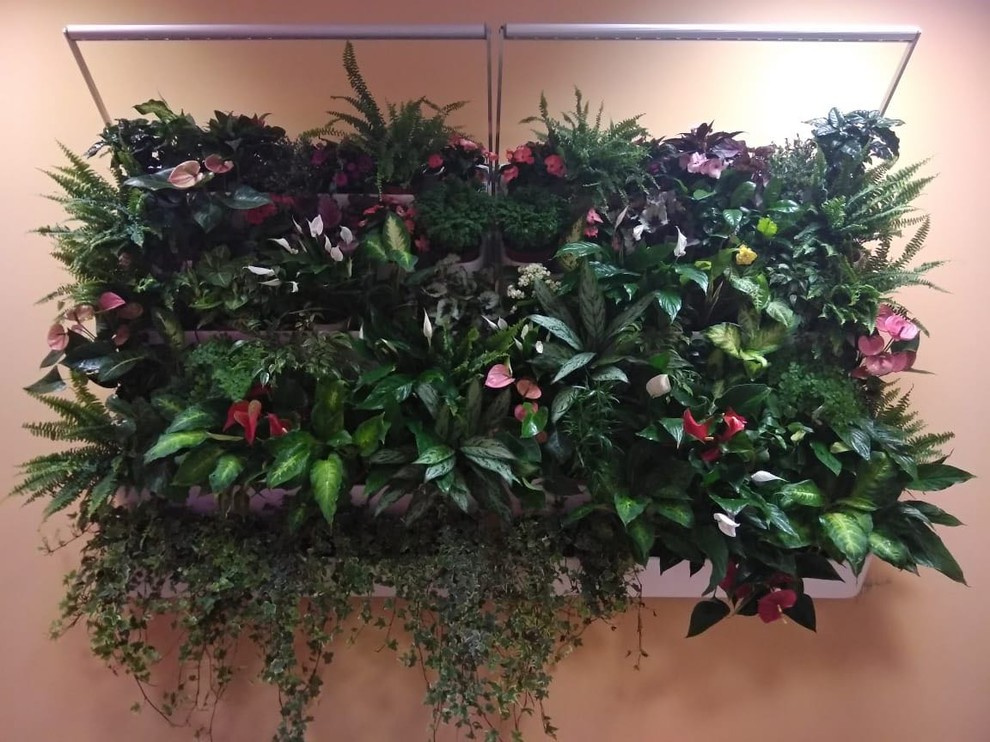 Вертикальное озеленение пространства. Фитомодули. Фитокартины. Фитоосвещение.