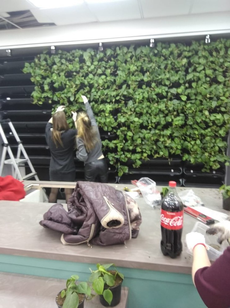 Вертикальное озеленение пространства. Фитомодули. Фитокартины. Фитоосвещение.