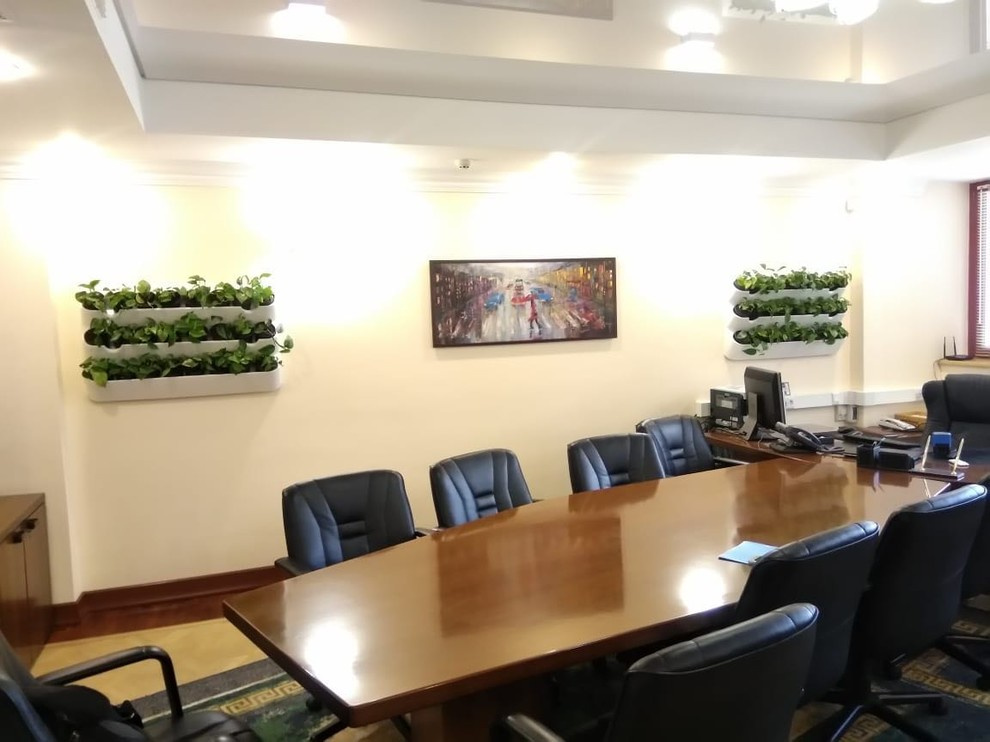 Вертикальное озеленение пространства. Фитомодули. Фитокартины. Фитоосвещение.