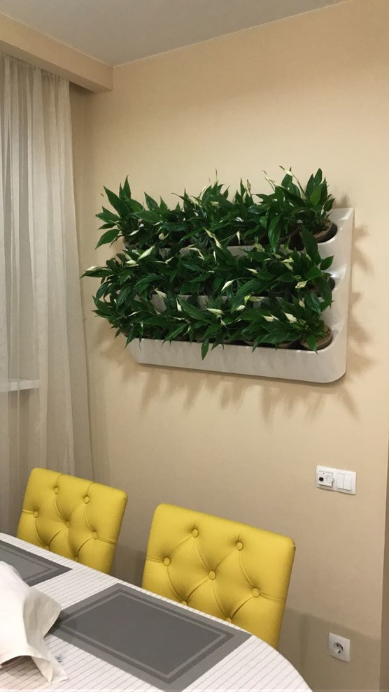 Вертикальное озеленение пространства. Фитомодули. Фитокартины. Фитоосвещение.