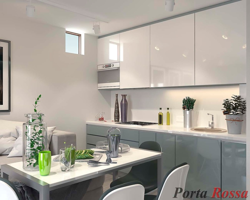 Kitchen design in Functional style
