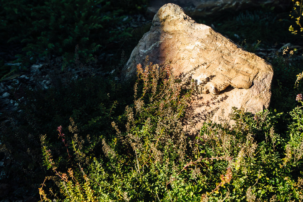 Русские Забавы