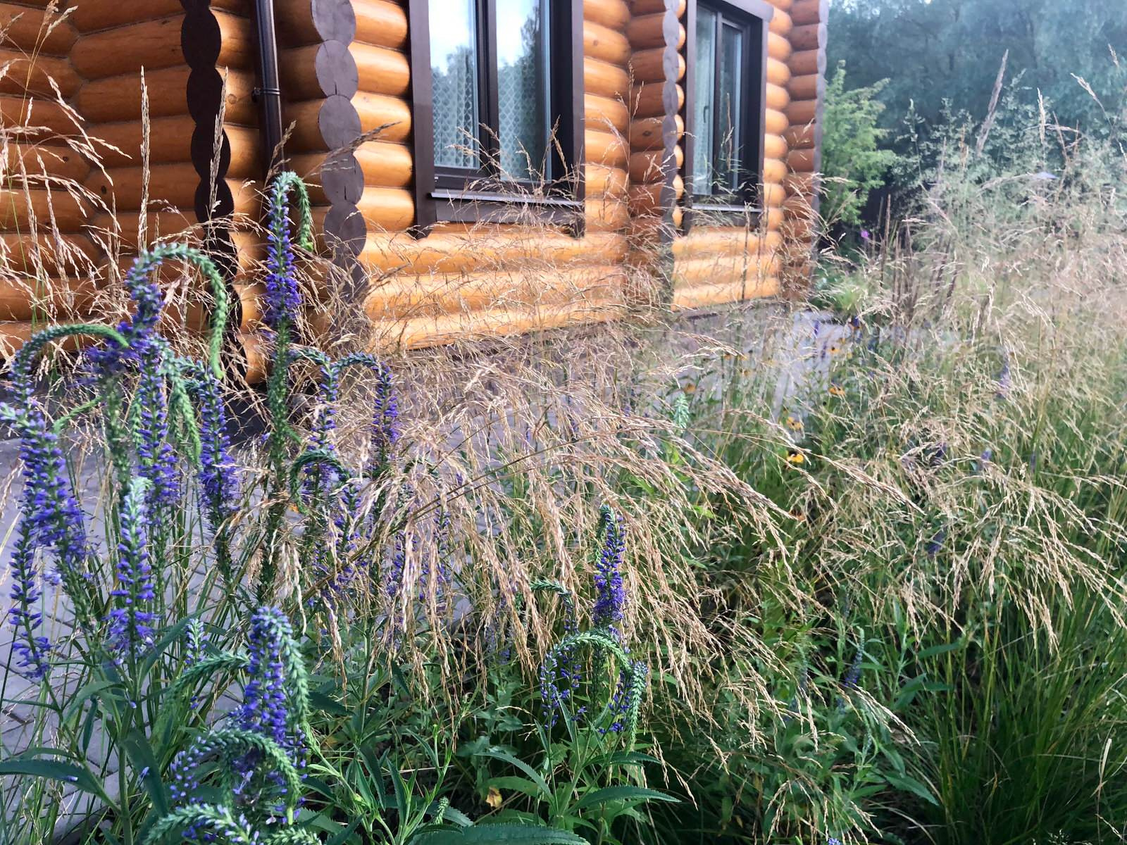 Русские Забавы, лето 2018, первый год жизни сада