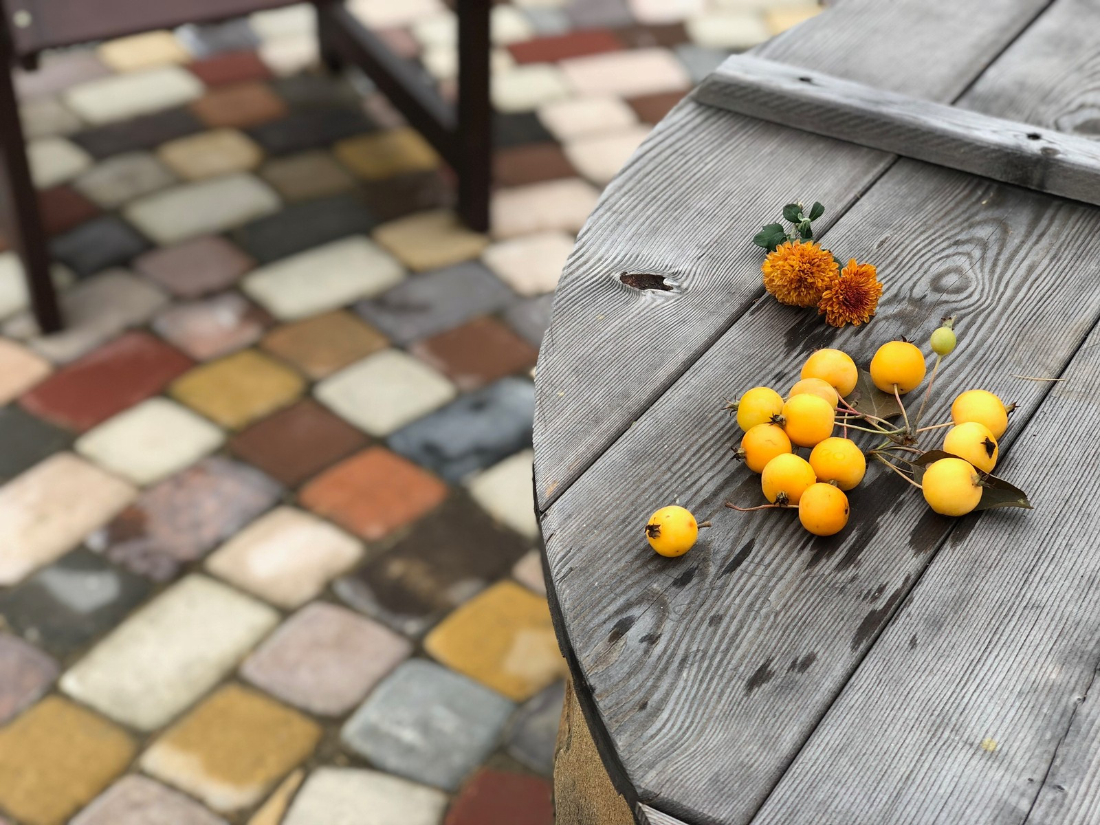 Сад "Каликат"