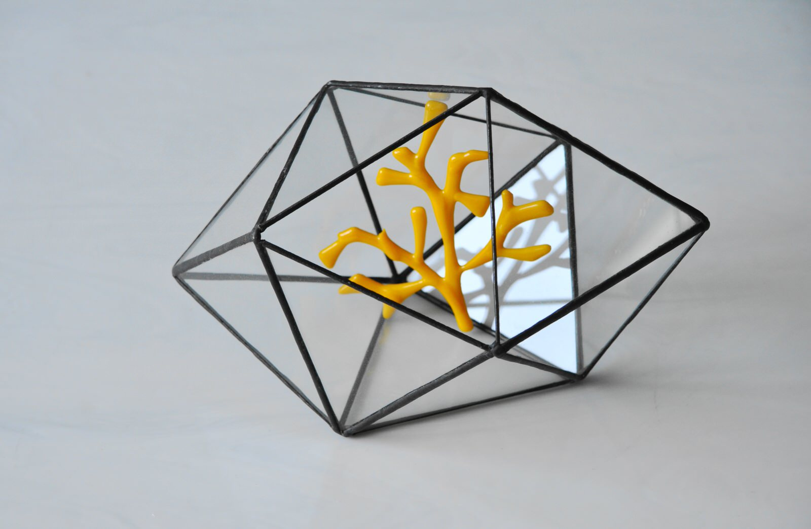 Флорариумы