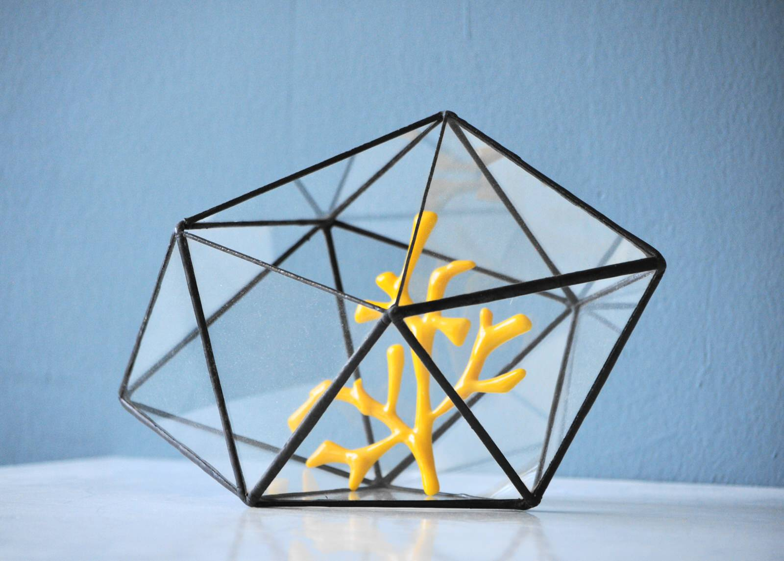 Флорариумы