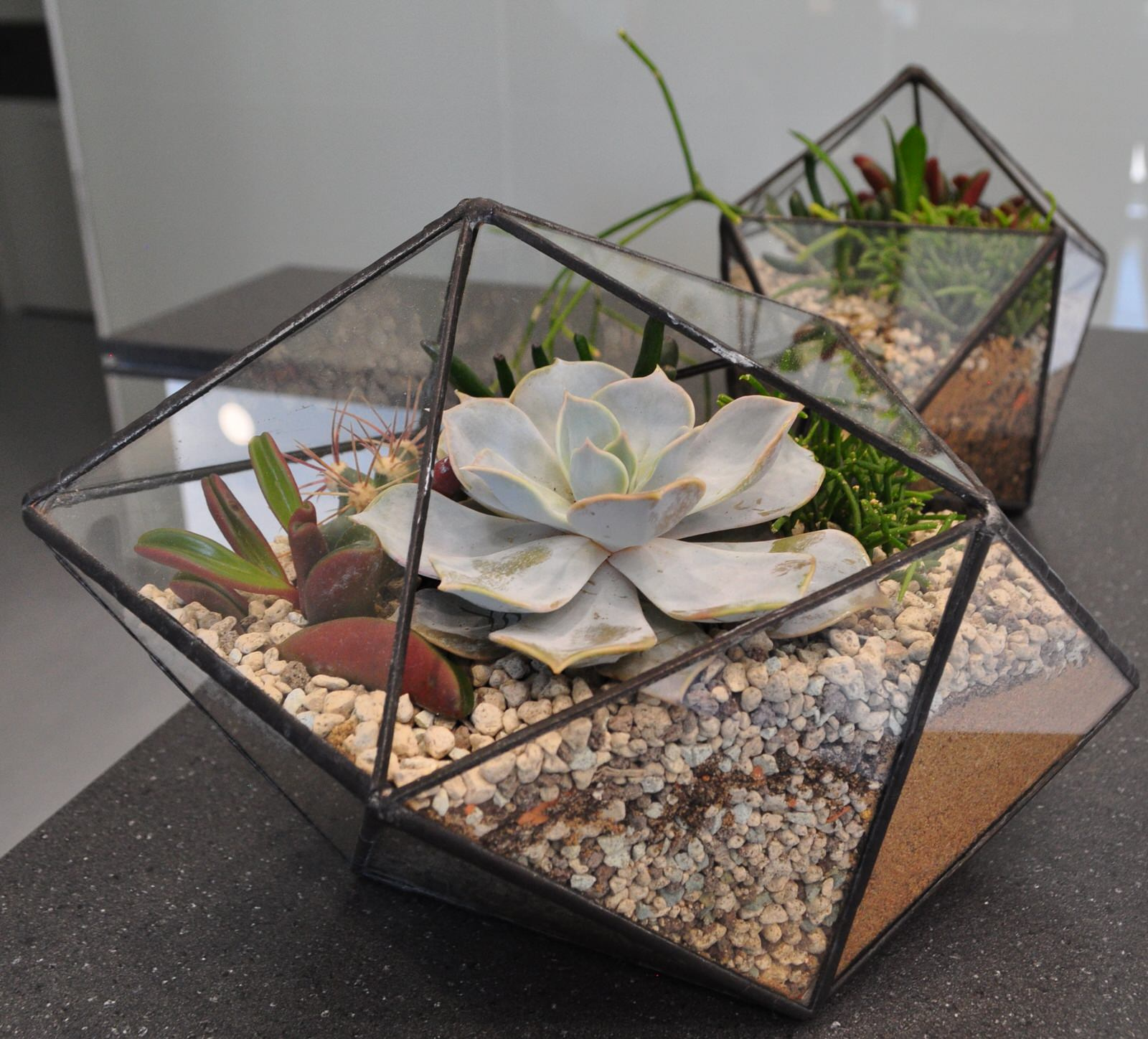 Флорариумы