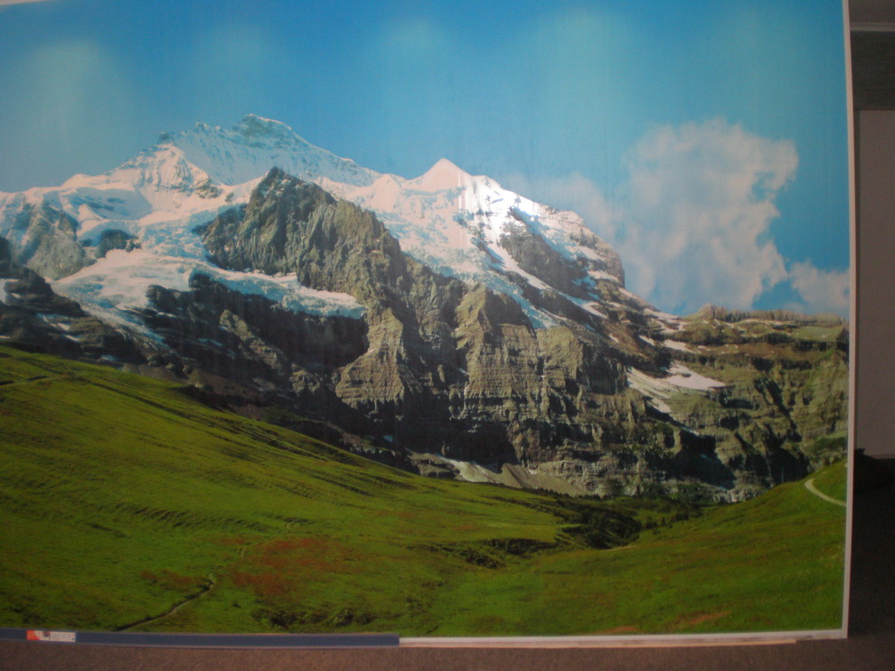 Пластиковые панели с фотопринтом , эл. каталоги.